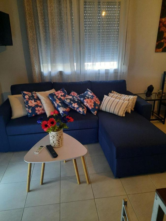 Park View Apartment In Paralia Dionisiou Eksteriør billede